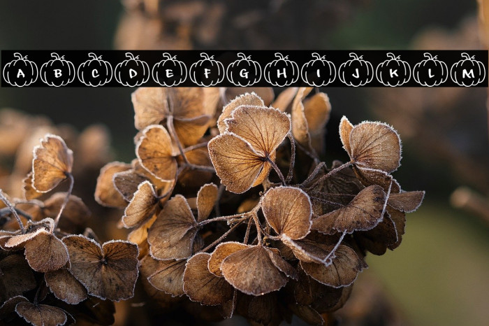 Playful*Pumpkins Example 1