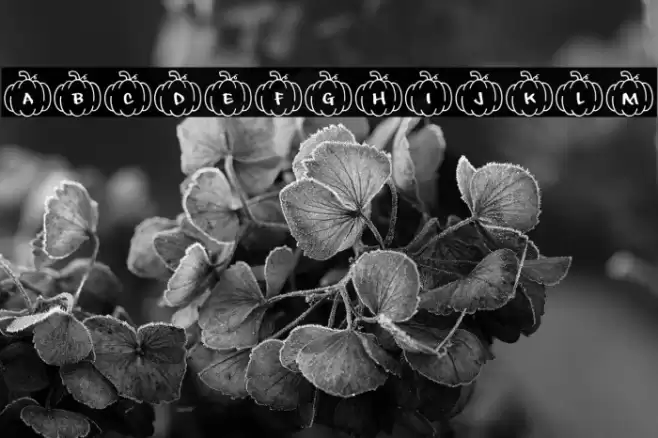 Playful*Pumpkins Font examples