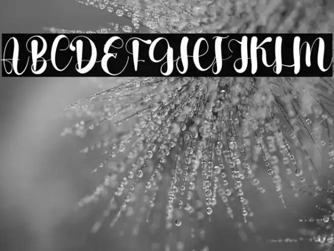 Playful Font examples