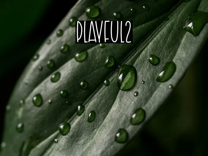 Playful2 Example 1