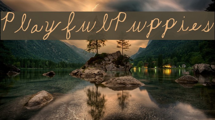 Playful_Puppies Font examples