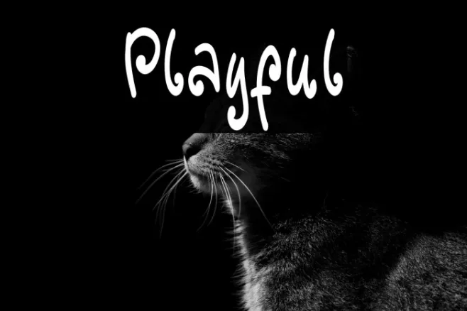 Playful Example 2