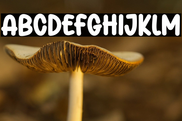 Playfull Daily Example 1