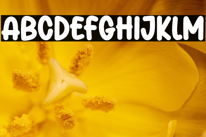 Playfull Daily Example 3