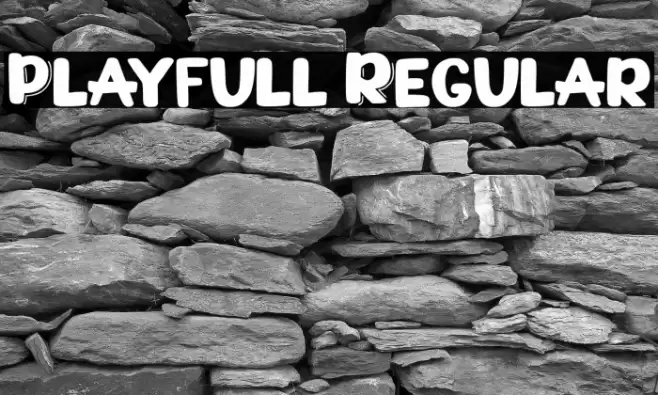 Playfull Regular Polices examples