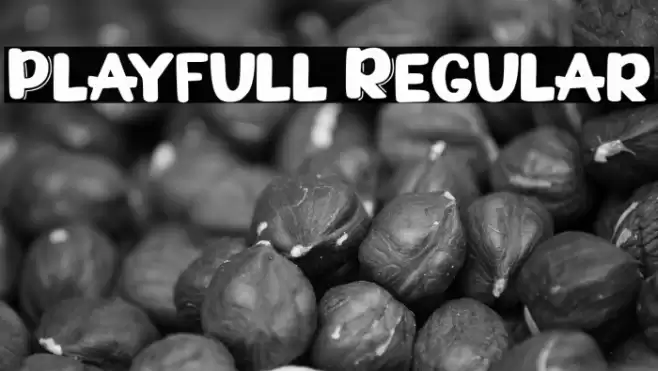 Playfull Regular Polices examples