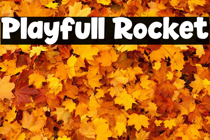 Playfull Rocket Example 1