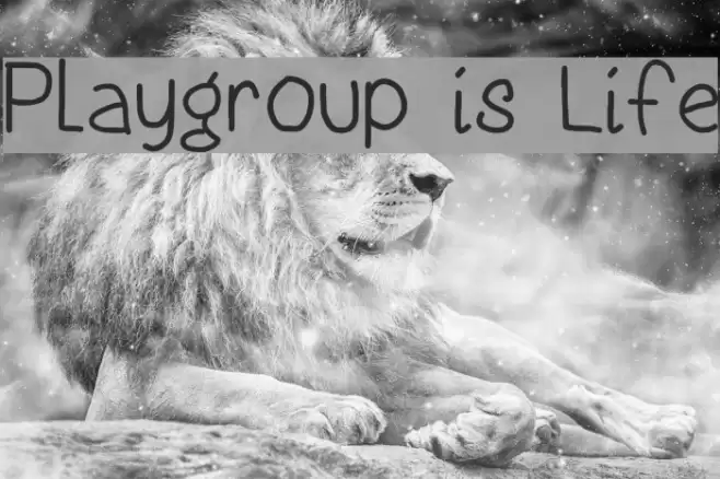 Playgroup is Life examples