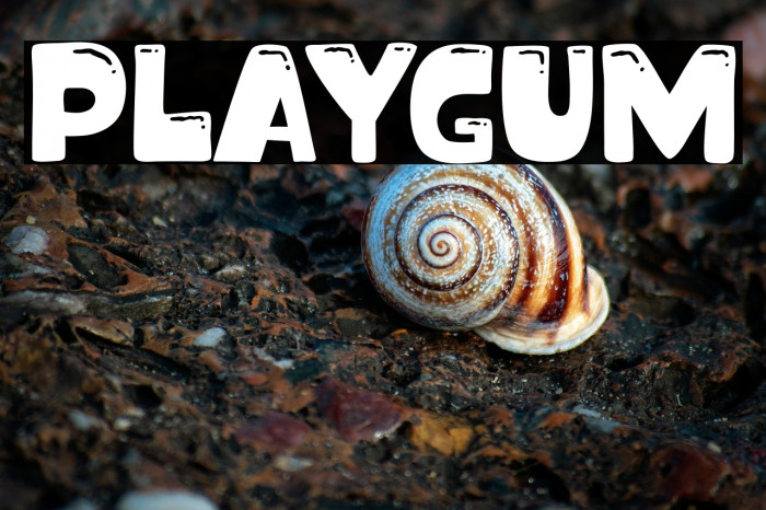 Playgum Example 1