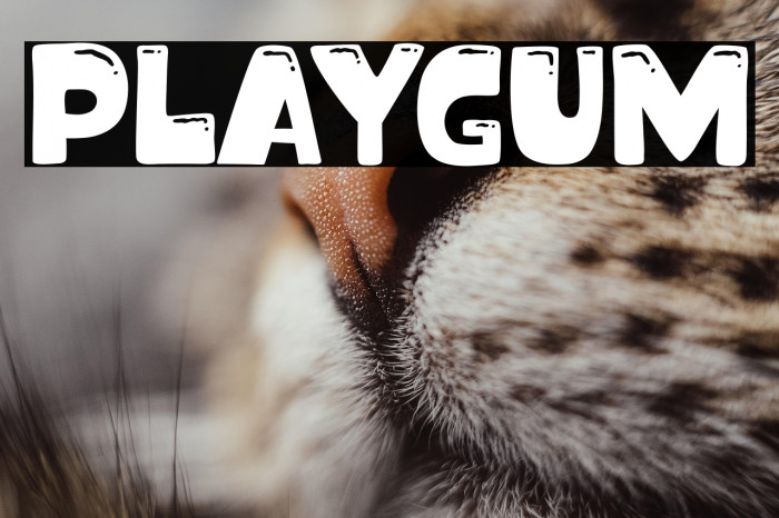 Playgum Example 2
