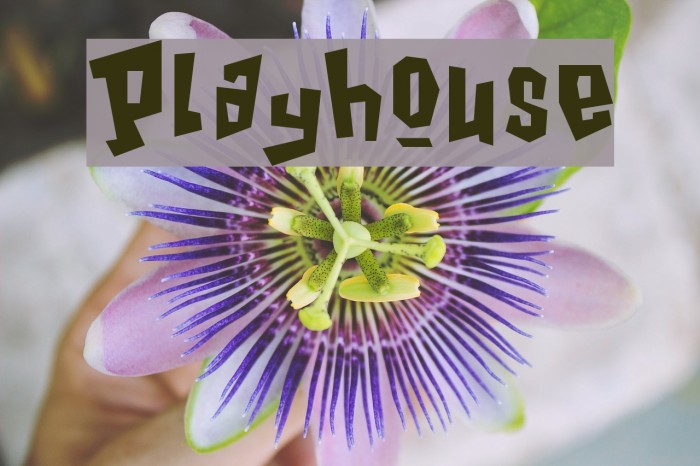 Playhouse Font examples