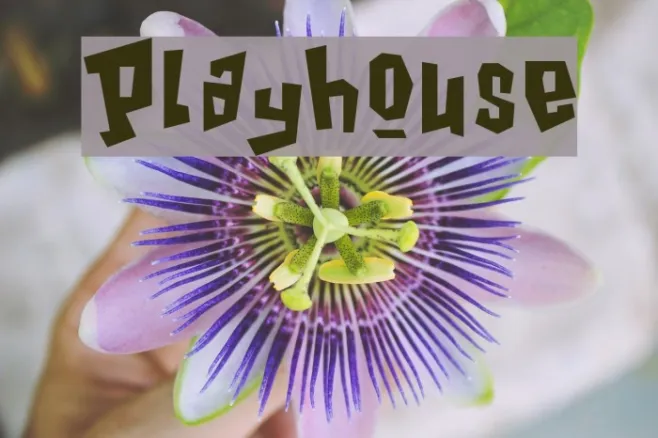 Playhouse Example 2
