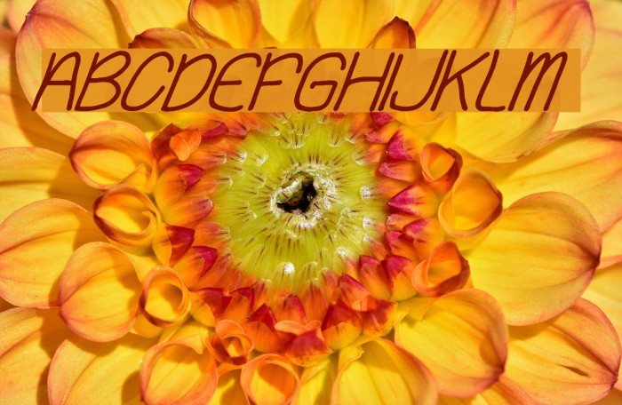 Playing Bumb Italic Font examples