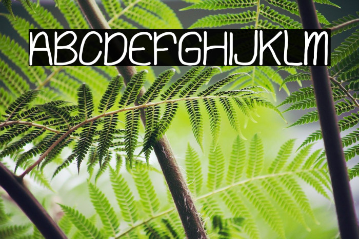 Playing Bumb Font examples
