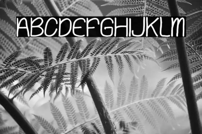 Playing Bumb Schriftart examples