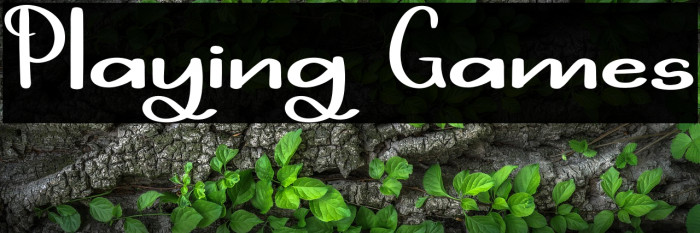 Playing Games Example 2