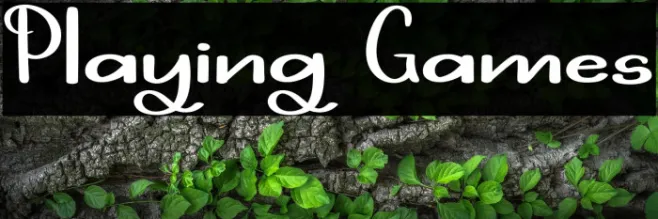 Playing Games Example 2