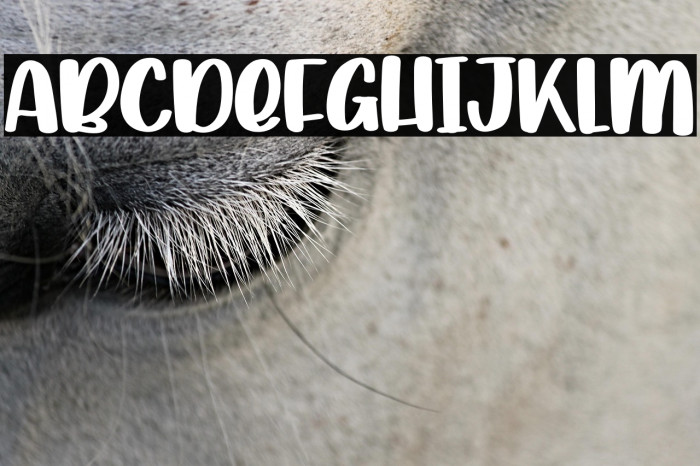 Playing Snow Example 2