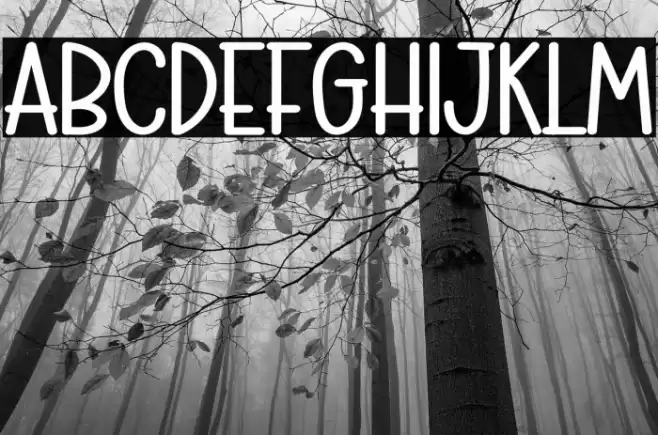 Playing 字体 examples