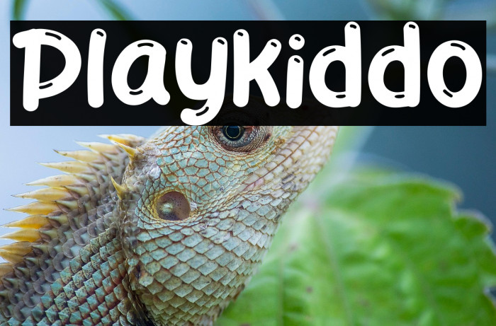 Playkiddo Example 2
