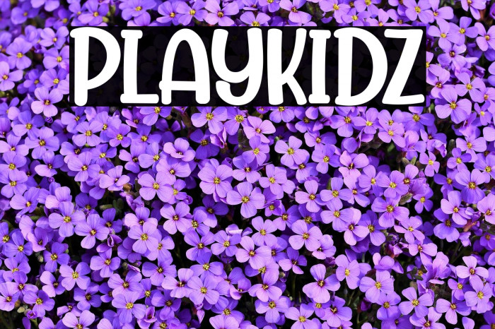 Playkidz Fonte examples