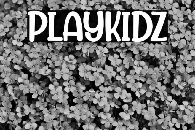 Playkidz Font examples