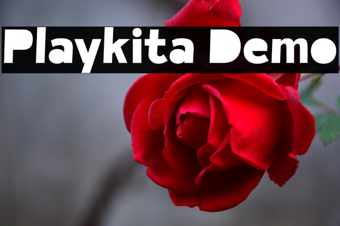 Playkita Demo Example 1