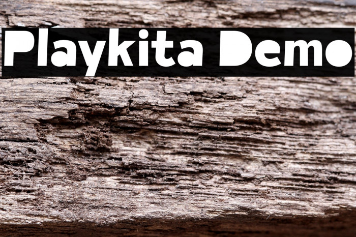 Playkita Demo Example 2