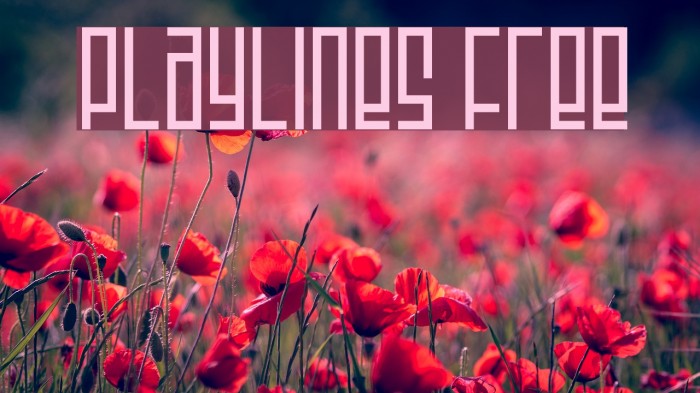 Playlines Free Font examples