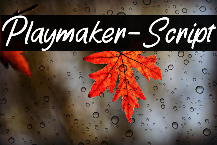 Playmaker-Script Example 1