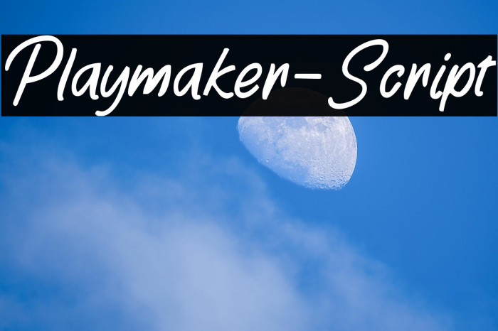 Playmaker-Script Example 2