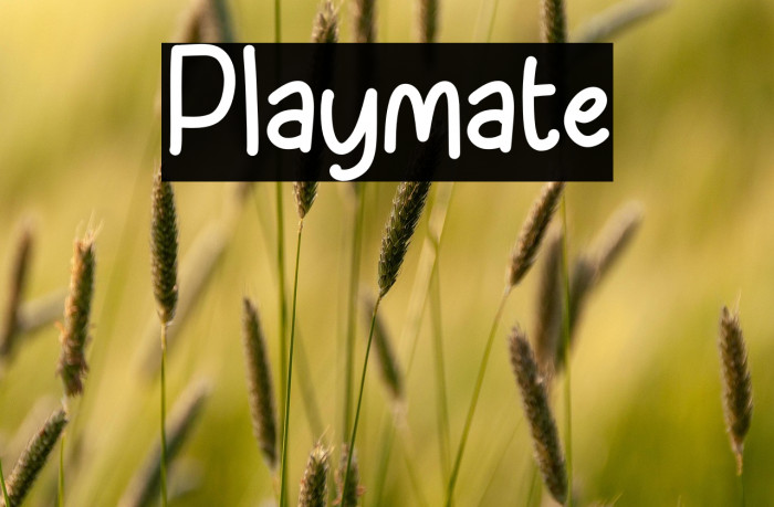Playmate Example 1
