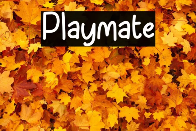 Playmate Example 2
