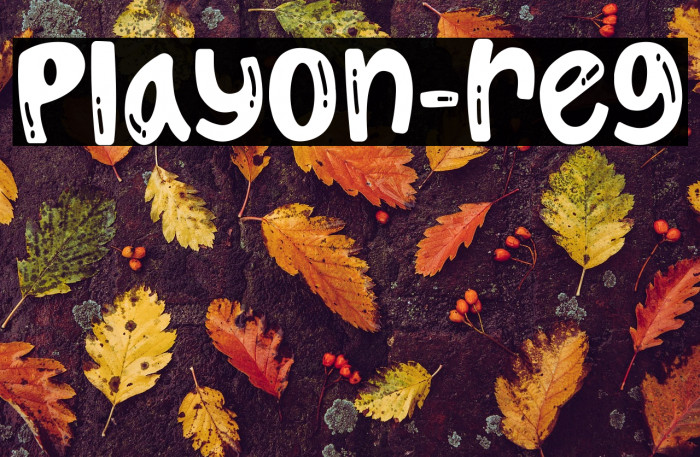 Playon-reg Example 1