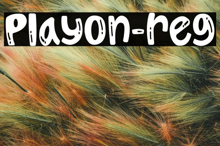 Playon-reg Example 2