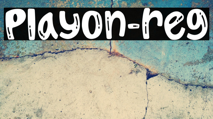 Playon-reg Example 3