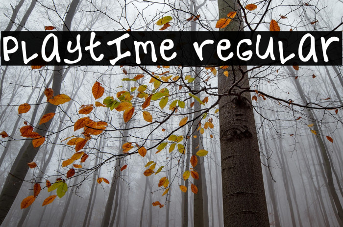 Playtime Regular Example 2