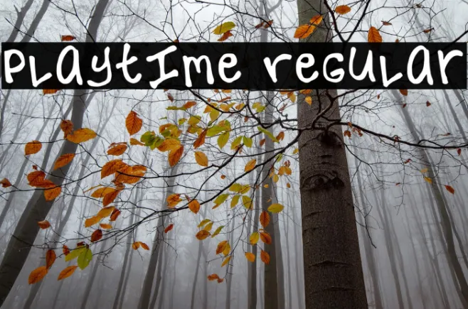 Playtime Regular Example 2