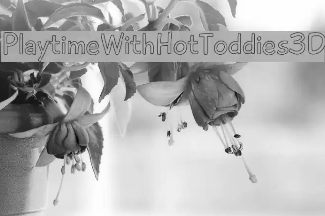 PlaytimeWithHotToddies3D  examples