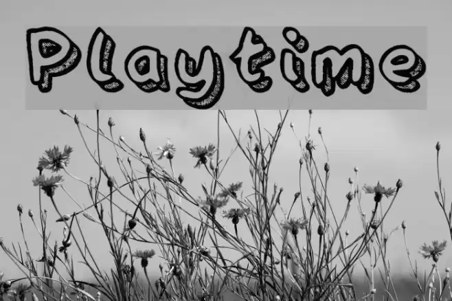 Playtime Font examples