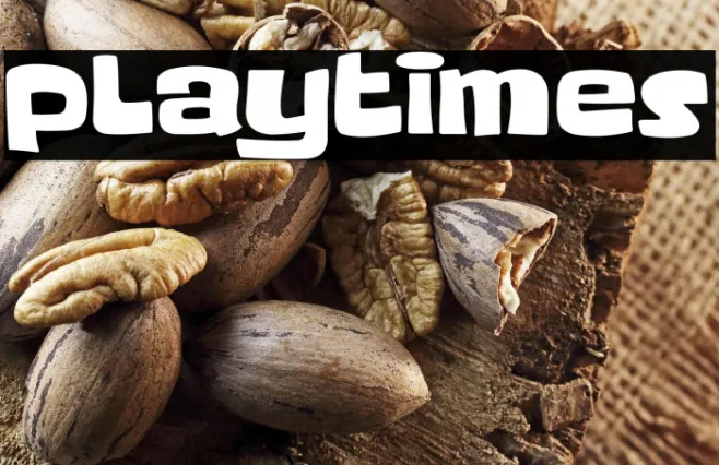 Playtimes Example 3