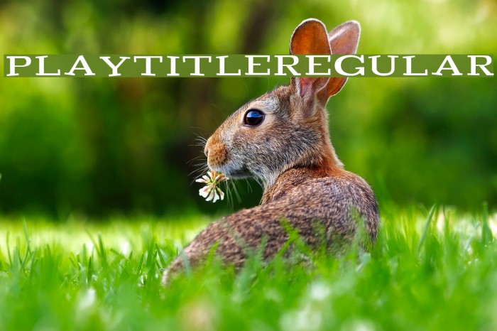 Playtitle-Regular Example 2