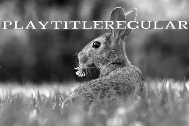 Playtitle-Regular Font examples