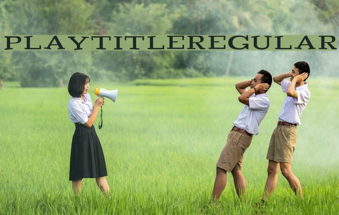 Playtitle-Regular Example 3