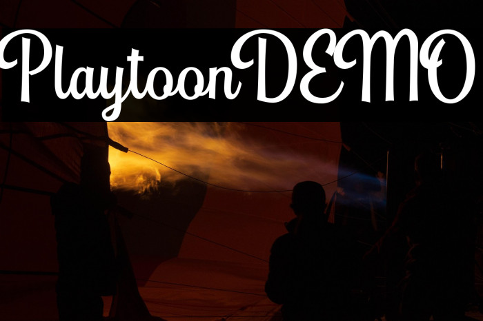 PlaytoonDEMO Example 1