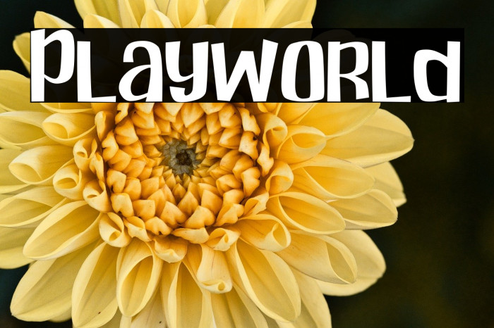 Playworld Example 2