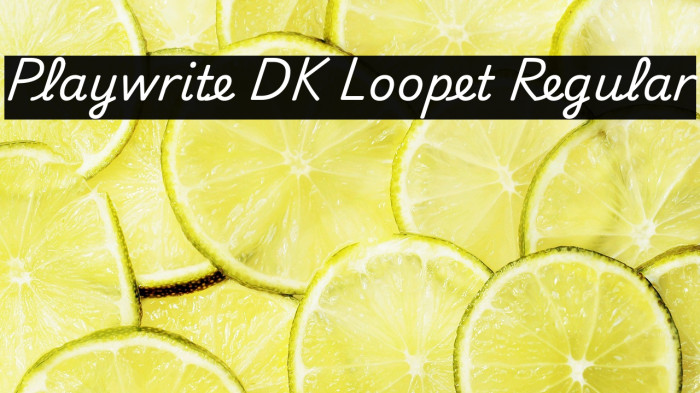 Playwrite DK Loopet Regular 字体 examples