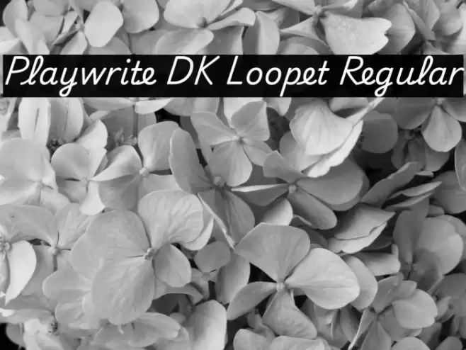 Playwrite DK Loopet Regular フォント examples