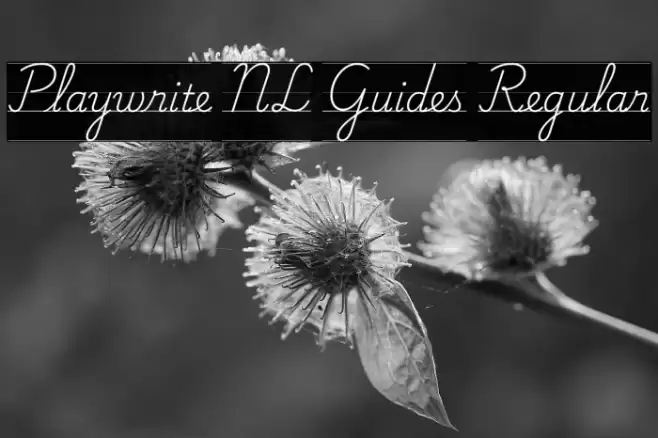 Playwrite NL Guides Regular Шрифта examples