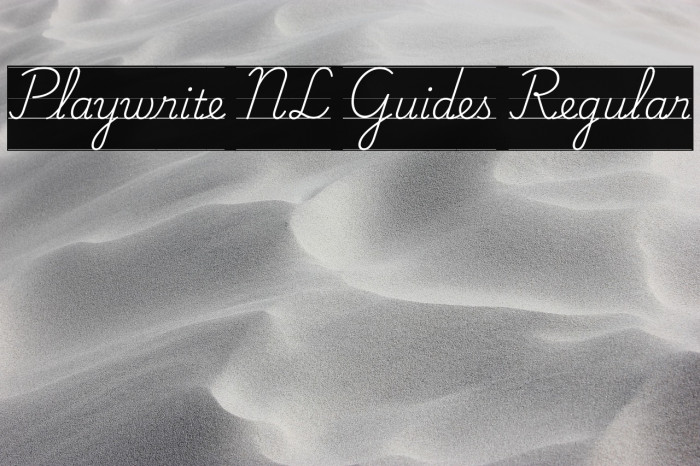 Playwrite NL Guides Regular Caratteri examples